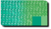 2 tone green